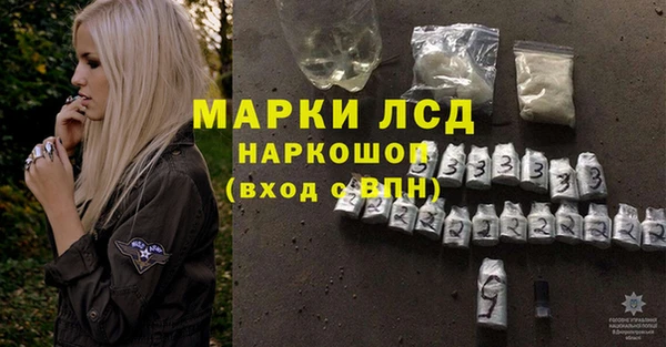 индика Балабаново