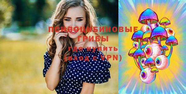 индика Балабаново